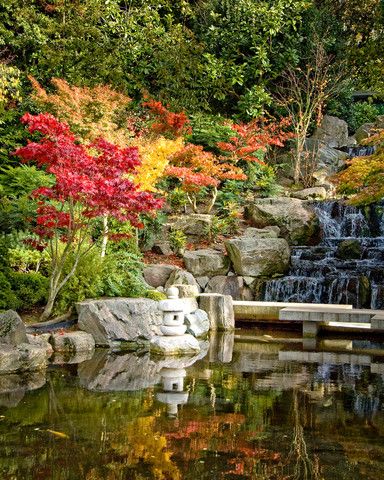 Διαβάζοντας στο Holland Park