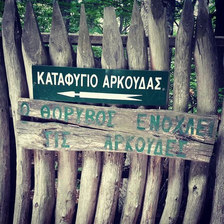 καταφύγιο της καφέ Αρκούδας.