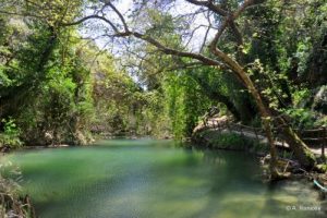 To νεραϊδοσπήλαιο στους Αστρακούς